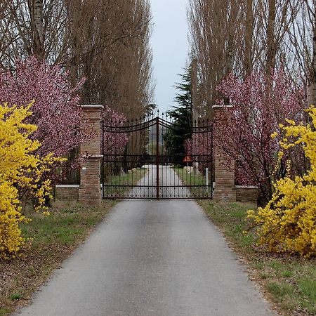 Agriturismo Corte Rocca San Giorgio di Mantova Luaran gambar