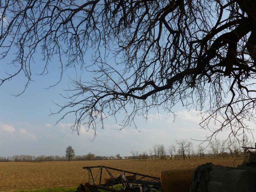 Agriturismo Corte Rocca San Giorgio di Mantova Luaran gambar