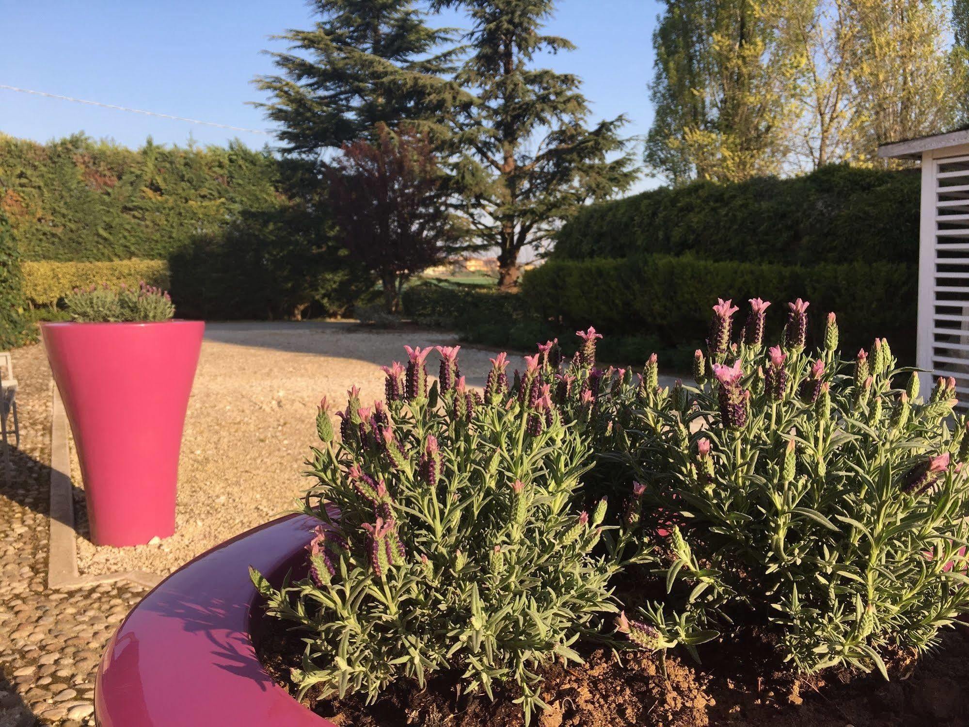Agriturismo Corte Rocca San Giorgio di Mantova Luaran gambar